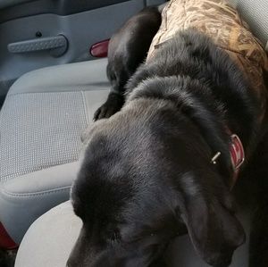 Meet your Posher, Steven